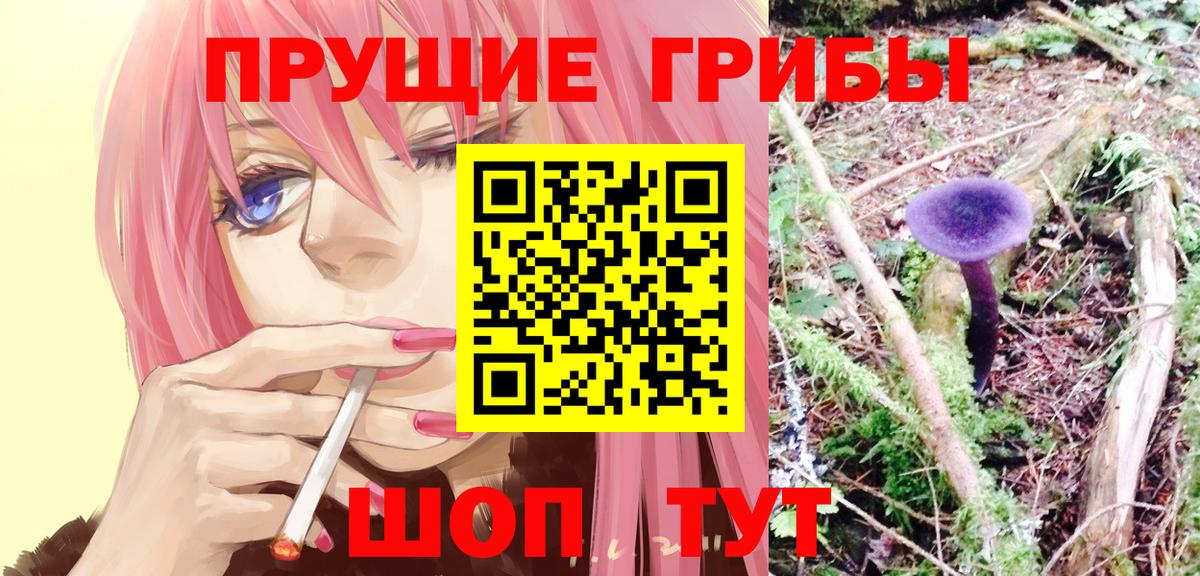 Галлюциногенные грибы Psilocybine cubensis Тихорецк